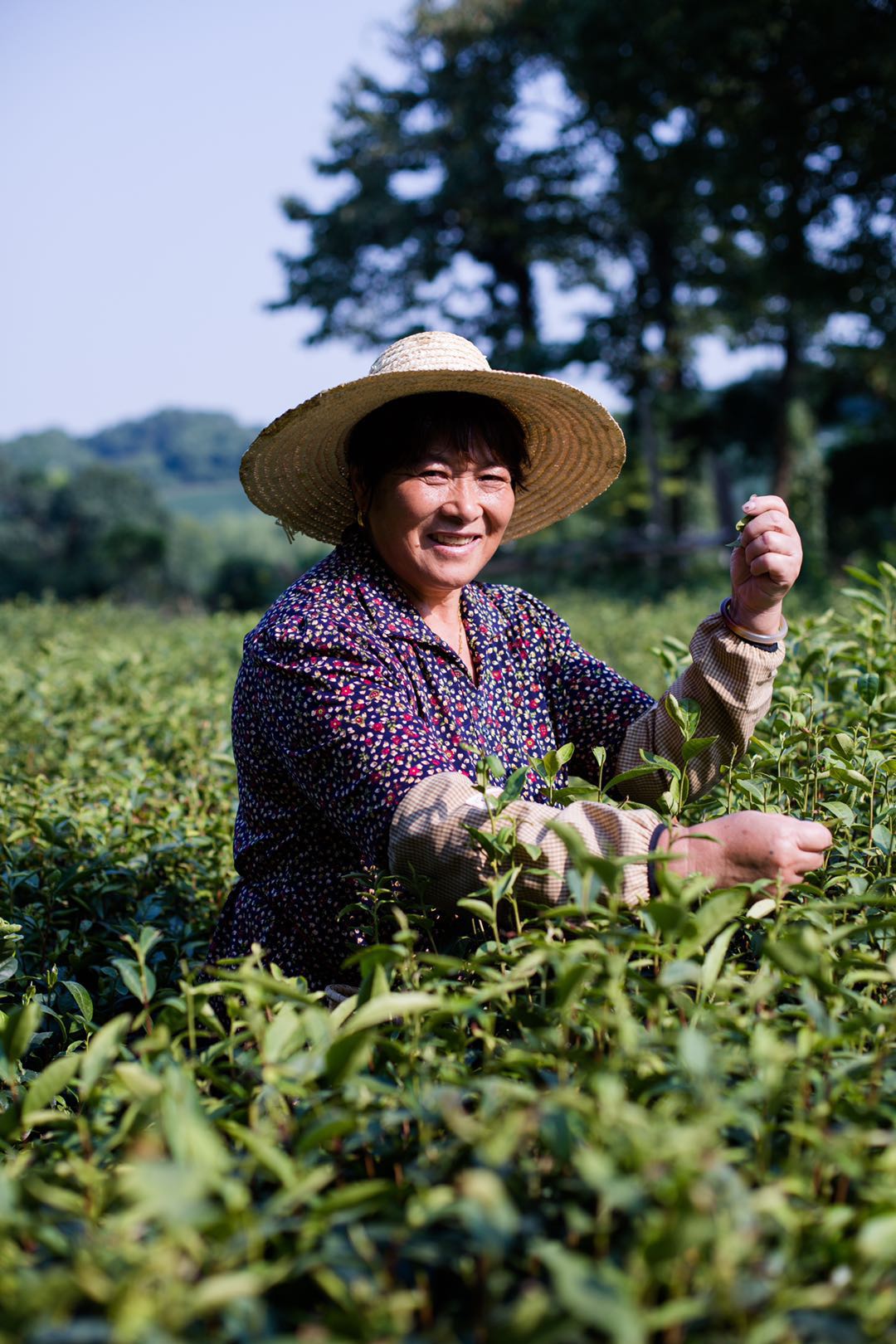 茶里茶外茶园环境_杭州茶里茶外餐厅官网